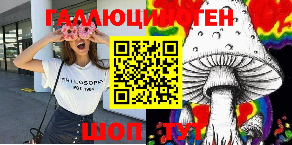 Псилоцибиновые грибы Psilocybe  Вход с VPN  Галлюциногенные грибы прущие грибы  Алатырь 