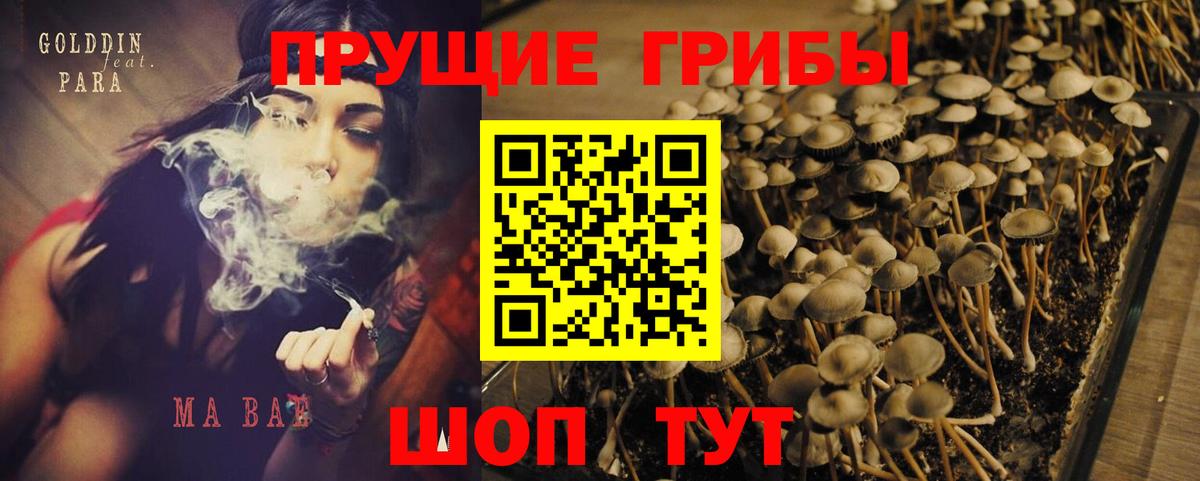 Галлюциногенные грибы ЛСД Алатырь